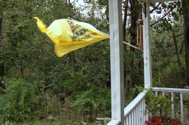 DSC_4569 H Irene winds