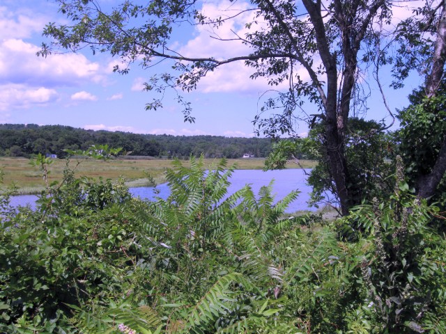 IMG_0538 beautiful spot nay time