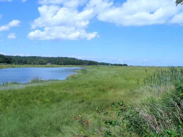 IMG_0539 beautiful spot any time