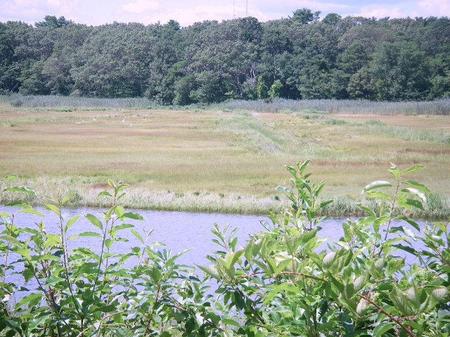 IMGP0417 NP any time