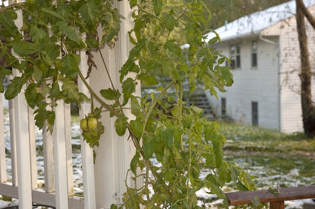 DSC_4836 that ends that