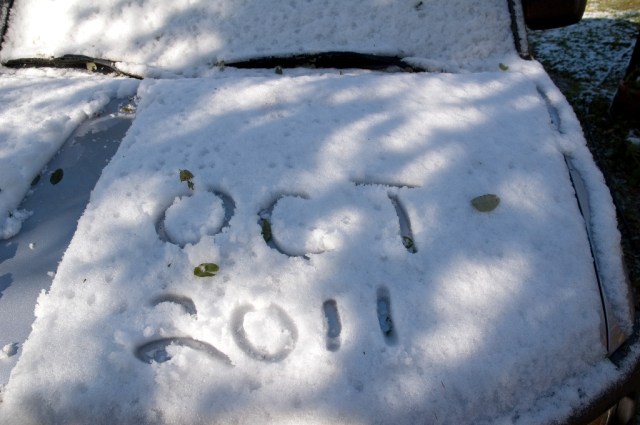 DSC_4841 Oct 30th 2011