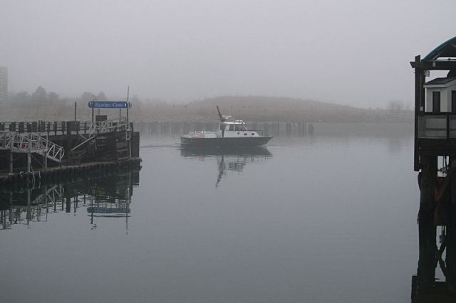 IMG_0679 Hewiits Cove