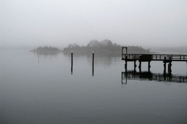 IMG_0691 Bones left for the winter