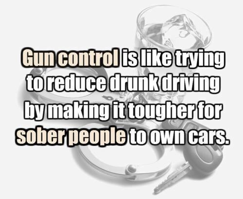 gun_control_like_restricting_cars_to_sober_people