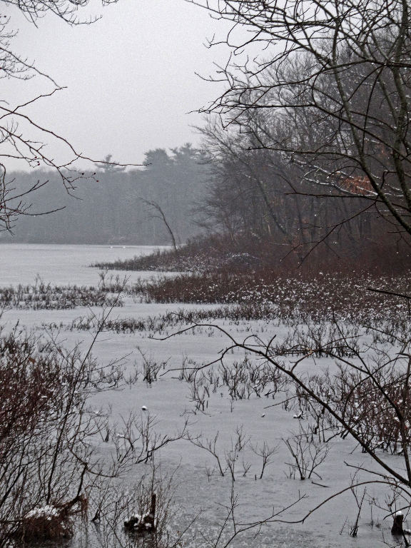 North RiverIMG_0713 PMP