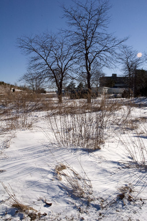 WeymouthDSC_5906 Webb Park