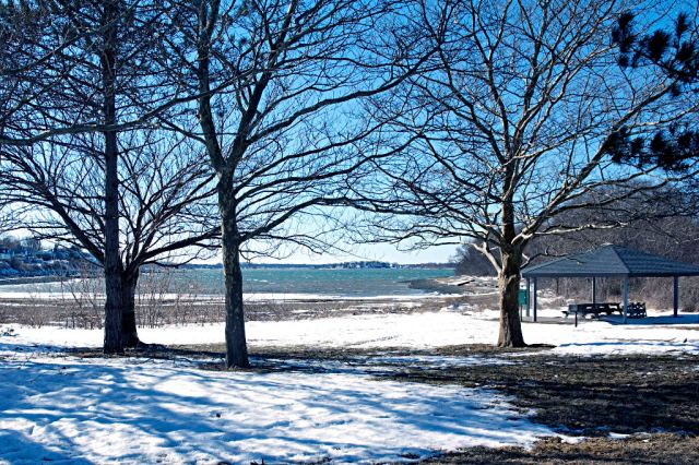 WeymouthDSC_5908 Webb Park