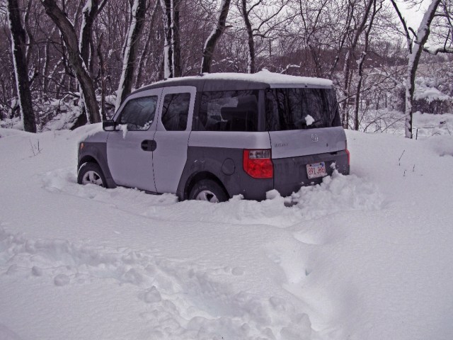 March StormIMG_0773 Snowbound