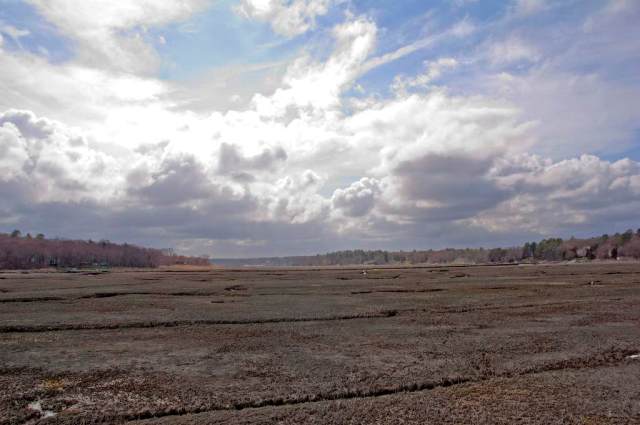 March StormDSC_5939 Light without warmth