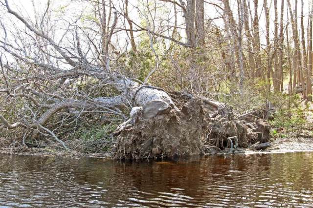 March StormIMG_0859 Pembroke