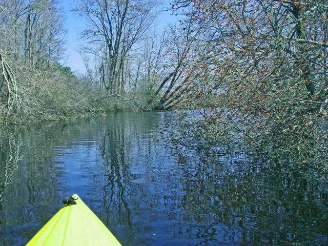 March StormIMGP0001 Tree-top on the right