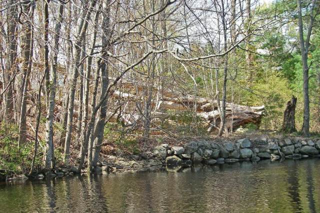 March StormIMGP0004 long dead now down