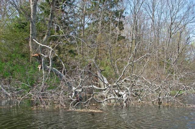 March StormIMGP0014 Hanover