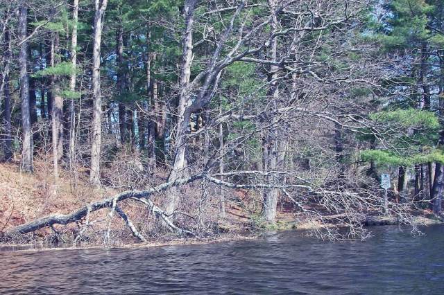 March StormIMGP0015 Norwell