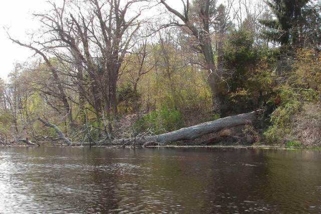 March StormIMGP0018 Hanover