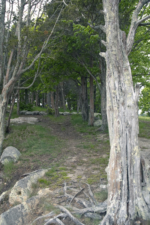 March StormDSC_5970 Take a walk