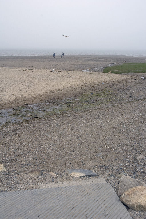 March StormDSC_5977 two or three feet of sand in front