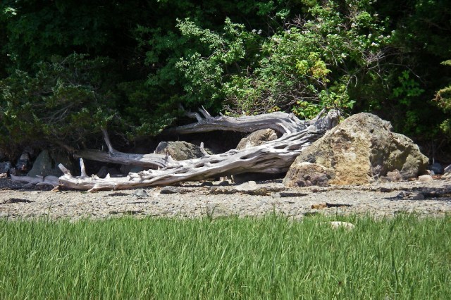 March StormIMGP0042 sun and wind