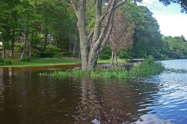 March StormIMGP0070 high tide with 5 inch plus rain_wow