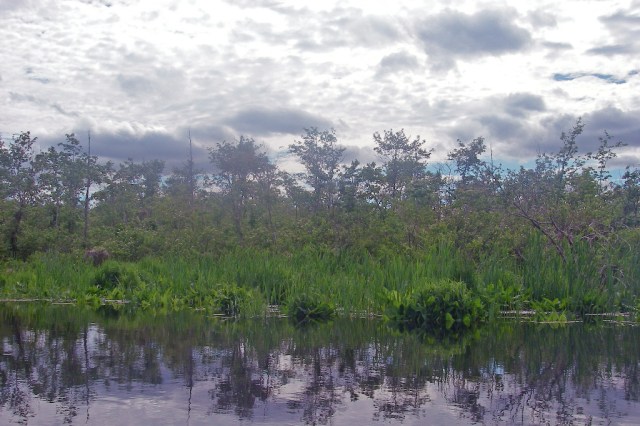 March StormIMGP0077 Early June upper river
