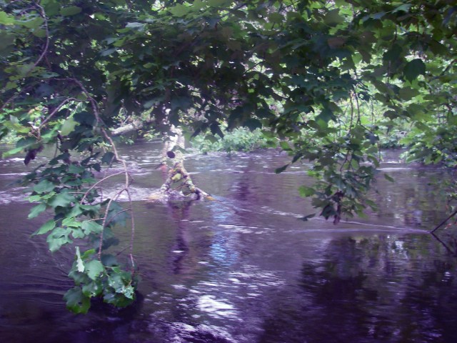 March StormIMGP0079 push off the launching ramp into this