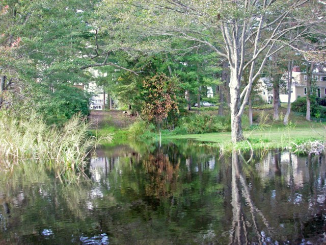 March StormIMGP0543 high new moon tide