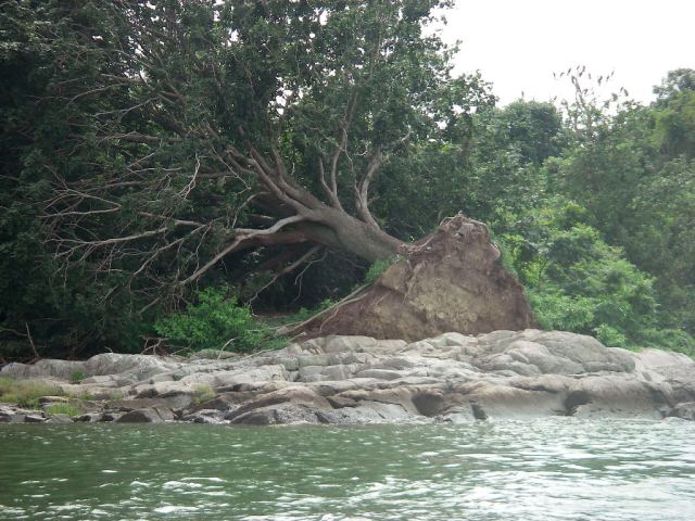March StormIMGP0154 Bird Island