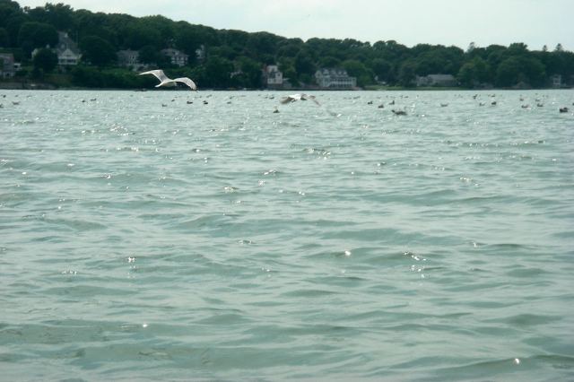 March StormIMGP0158 outnumber the people