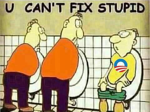 cant fix stupid