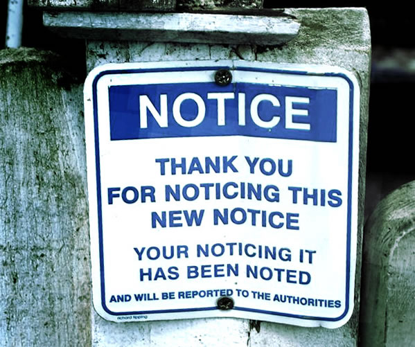 notice-this-notice