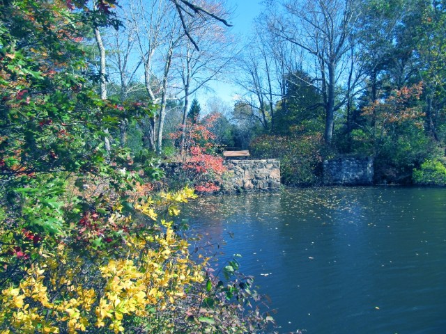 IMG_0199 Luddam Ford Park