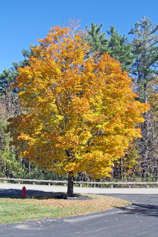 IMG_0225 Hanover parking lot