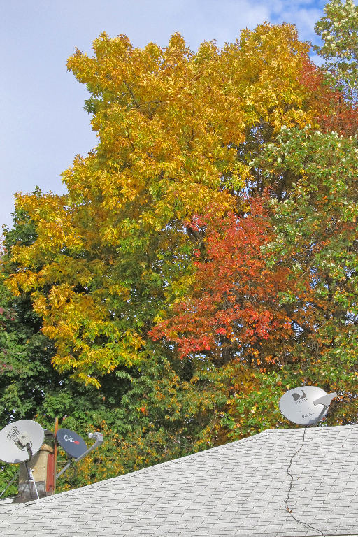 IMG_0229 Side street in Weymouth