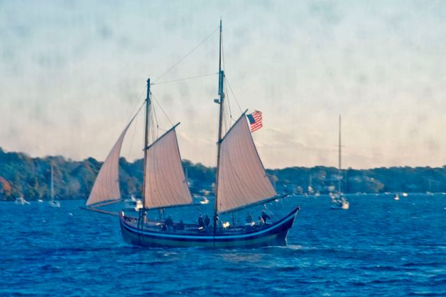 March StormDSC_0010 Through a glass murkee