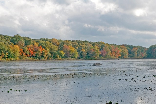 March StormDSC_6145 Pond Meadow