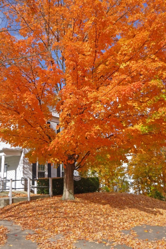P1000040 First Church Weymouth