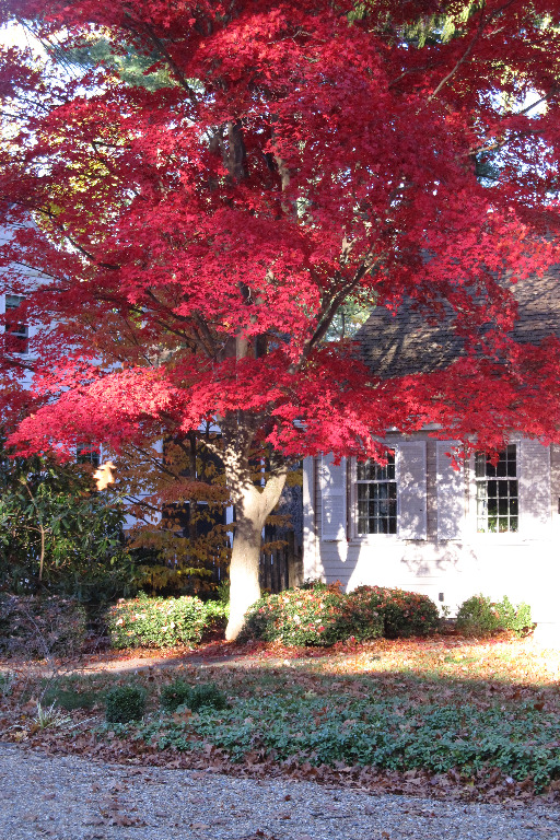 IMG_0241 off Summer St