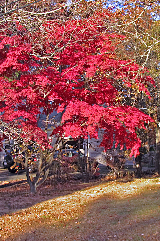 IMG_0244 neighborhood streets