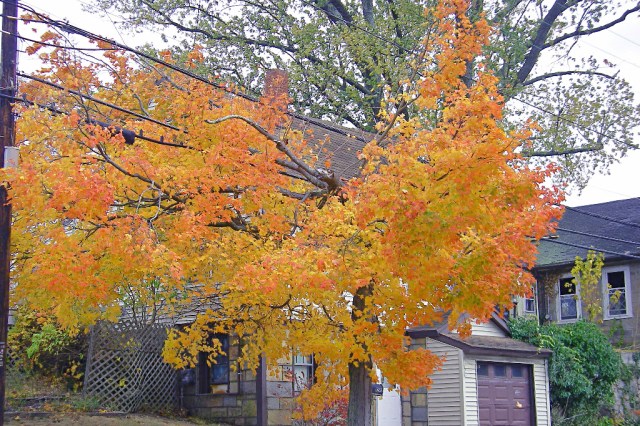 The last before bleakIMGP0197 Caught my eye