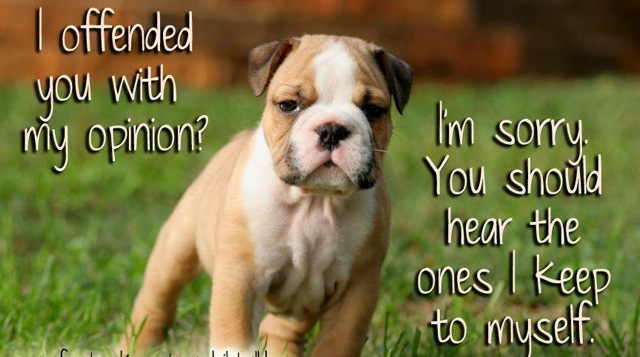 ATT000011314141415191313