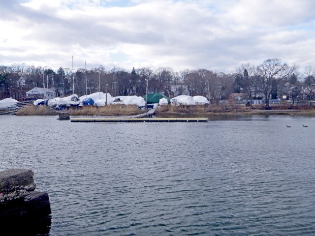 P1000087 First Day of Spring