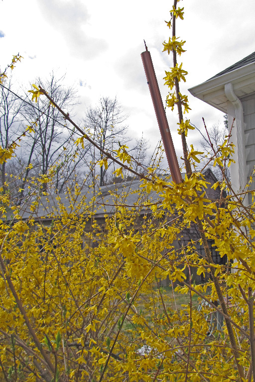 IMG_0357 You gotta be kiding me