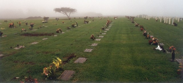 MauiVetGraveSite22002