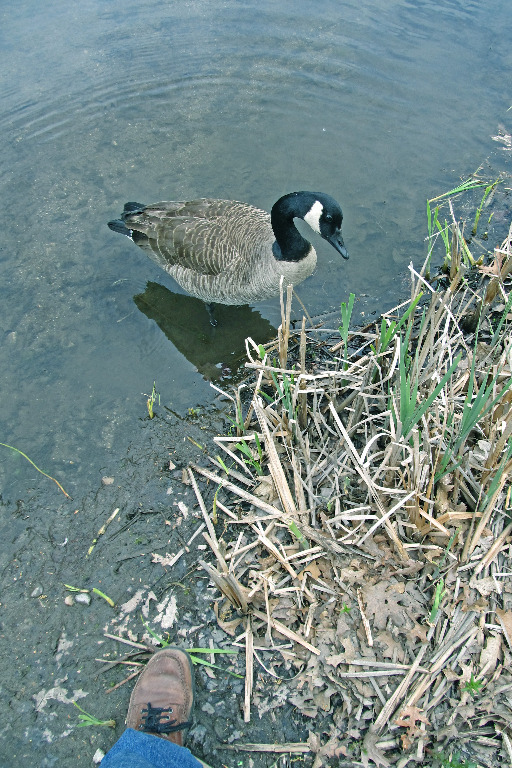 IMG_0366 Hi buddy whats up