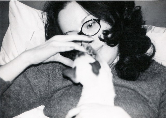 Donie and the siemese cat