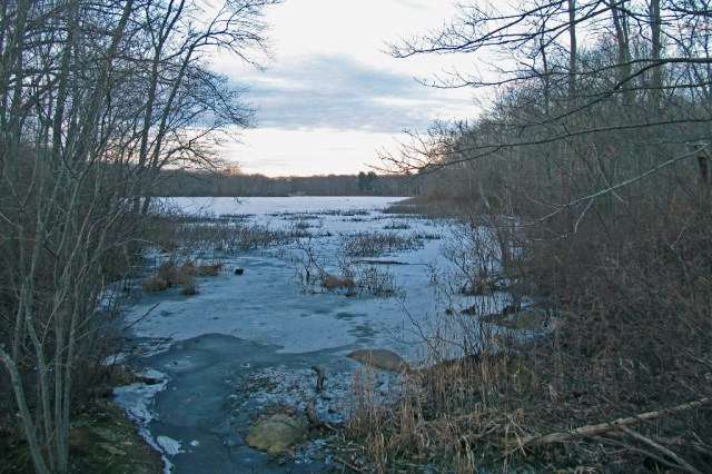 2015_Pond Meadow cold winter IMG_0468
