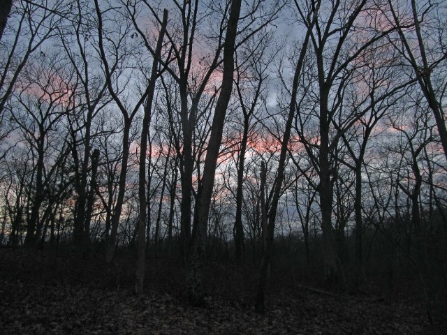 2015_sunset in the park  IMG_0471