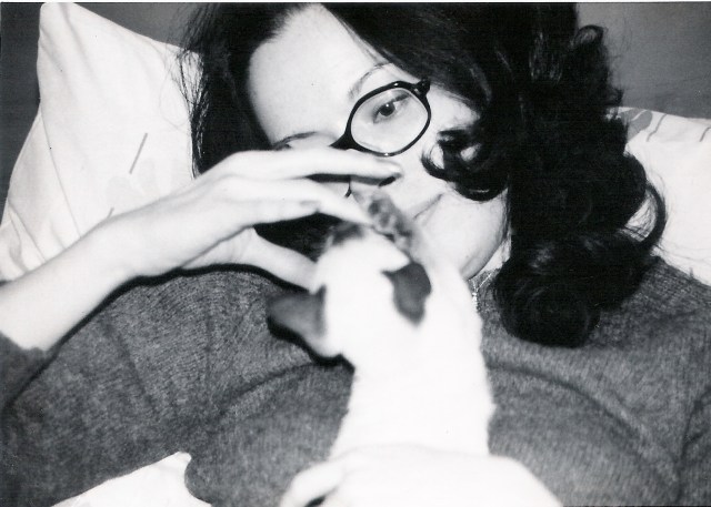 Donie and the siemese cat