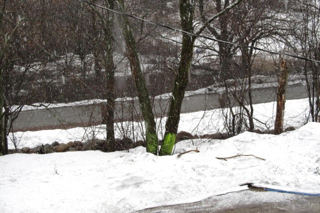 Snow before Palm Sunday IMG_0586